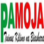 Pamoja Digital Financing Ltd