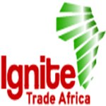 Ignite Afrika Associates