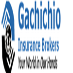 Gachichio Insurance Brokers Limited