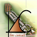 Lins Consult Ltd