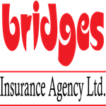 Bridges Insurance Agency