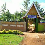 Havard Junior School