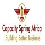 Capacity Spring Africa Consultants