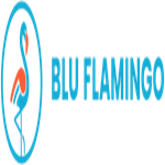 Blu Flamingo Digital Africa