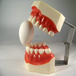 Legato Dental & Surgical Suppliers Ltd