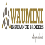 Waumini Insurance