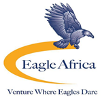 Eagle Africa Insurance Brokers Ltd Kenya