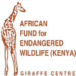 Giraffe Centre