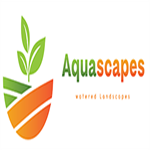 Aquascapes