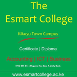 Esmart College