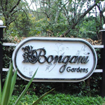 Bongani Gardens