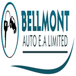 Bellmont Auto Electronics